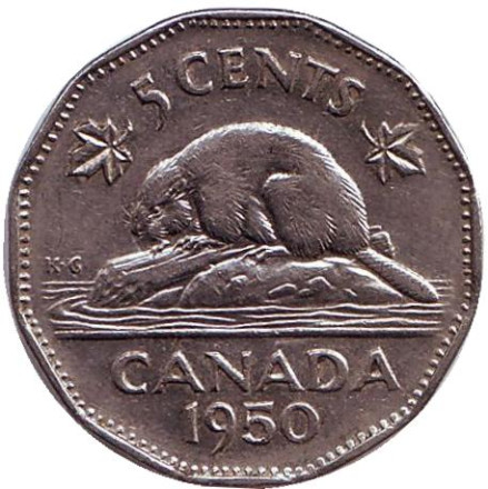 Монета 5 центов. 1950 год, Канада. Бобр.