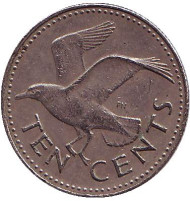 Монета 10 центов. 1984 год, Барбадос. Чайка. Монета 10 центов. 1984 год, Барбадос. Чайка.