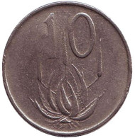 Монета 10 центов. 1965 год, Южная Африка. (South Africa) Алоэ.