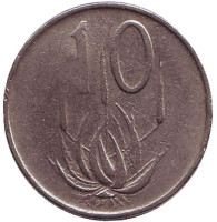 Алоэ. Монета 10 центов. 1965 год, Южная Африка. (South Africa)