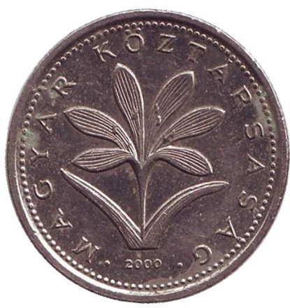 2000-1y5.jpg 2000-1y5.jpg