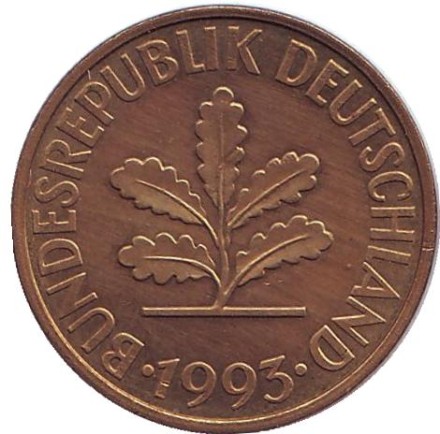 Монета 10 пфеннигов. 1993 год (J), ФРГ. Дубовые листья. Монета 10 пфеннигов. 1993 год (J), ФРГ. Дубовые листья.