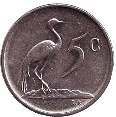 Монета 5 центов. 1972 год, Южная Африка. Африканская красавка.