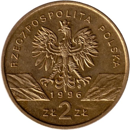 Монета 2 злотых. 1996 год, Польша. Состояние - VF. Ёж (Ёжики).