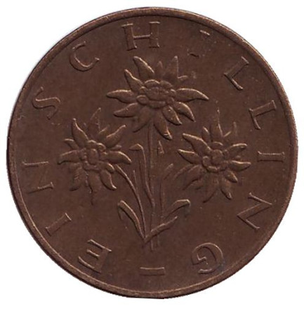 Монета 1 шиллинг. 1982 год, Австрия. Эдельвейс.
