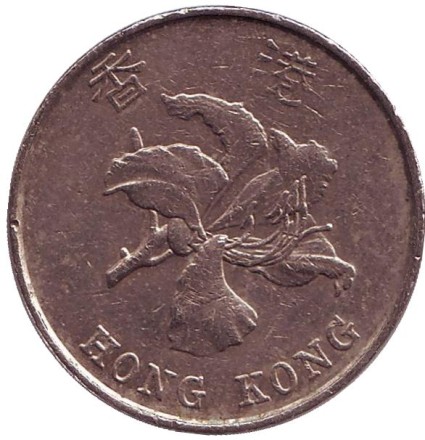 1995-12jk.jpg 1995-12jk.jpg