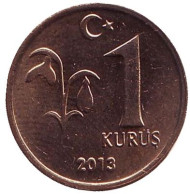 Монета 1 куруш. 2013 год, Турция. Монета 1 куруш. 2013 год, Турция.