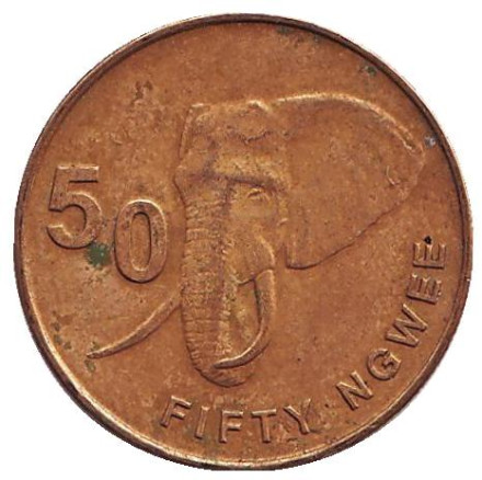 Монета 50 нгве. 2013 год, Замбия. Саванный слон.