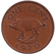 Монета 1 цент. 1970 год, Бермудские острова. Поросенок.