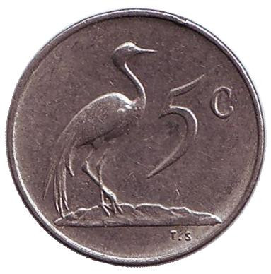 Монета 5 центов. 1975 год, Южная Африка. Африканская красавка.