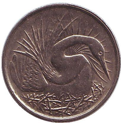 Монета 5 центов. 1976 год, Сингапур. Большая белая цапля.