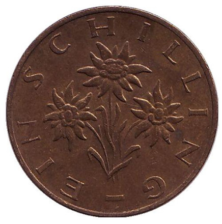 Монета 1 шиллинг. 1983 год, Австрия. Эдельвейс.