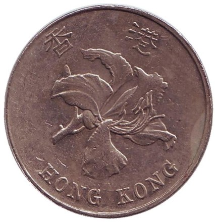 1998-12gs.jpg 1998-12gs.jpg