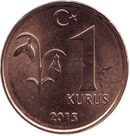 Монета 1 куруш. 2015 год, Турция. Монета 1 куруш. 2015 год, Турция.