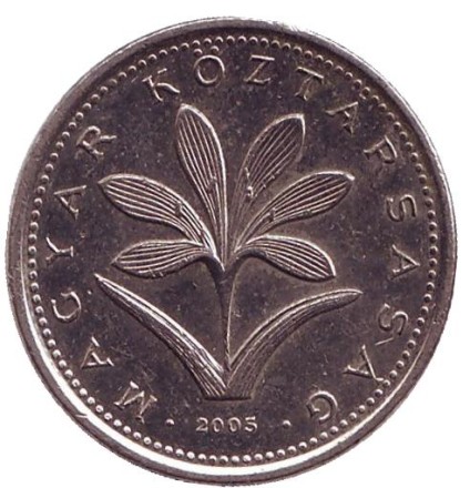 2005-1kl.jpg 2005-1kl.jpg