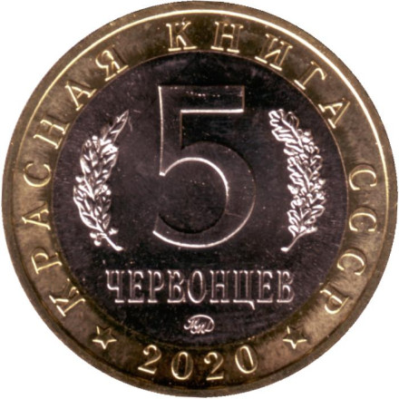 Подкаменщик обыкновенный. Монетовидный жетон. 5 червонцев, 2020 год. ММД.