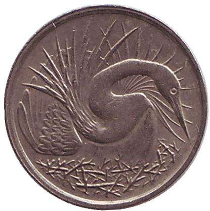 Монета 5 центов. 1977 год, Сингапур. Большая белая цапля.