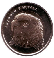 Монета 1 лира. 2014 год, Турция. Орёл. Монета 1 лира. 2014 год, Турция. Орёл.