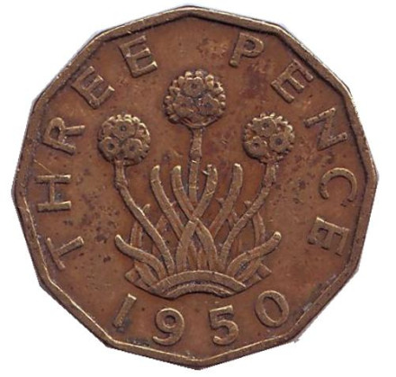 Монета 3 пенса. 1950 год, Великобритания. Лук-порей.