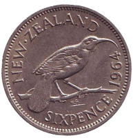 Гуйя. Монета 6 пенсов. 1964 год, Новая Зеландия.