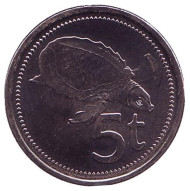 Монета 5 тойа, 2005 год, Папуа-Новая Гвинея. Свиноносая черепаха. Монета 5 тойа, 2005 год, Папуа-Новая Гвинея. Свиноносая черепаха.