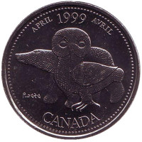 Миллениум. Апрель 1999. Северное наследие. Сова. Монета 25 центов. 1999 год, Канада.