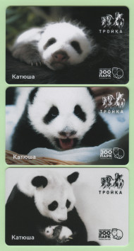 Комплект из 3-х электронных карт "Тройка". 2024 год. Россия, Москва. Панда Катюша. Комплект из 3-х электронных карт "Тройка". 2024 год. Россия, Москва. Панда Катюша.