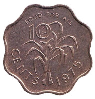 Монета 10 центов. 1975 год, Свазиленд. aUNC. FAO. Сахарный тростник. Монета 10 центов. 1975 год, Свазиленд. aUNC. FAO. Сахарный тростник.