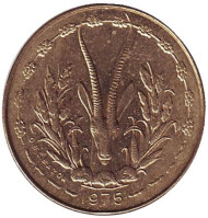 Монета 5 франков. 1975 год, Западные Африканские Штаты. Монета 5 франков. 1975 год, Западные Африканские Штаты.