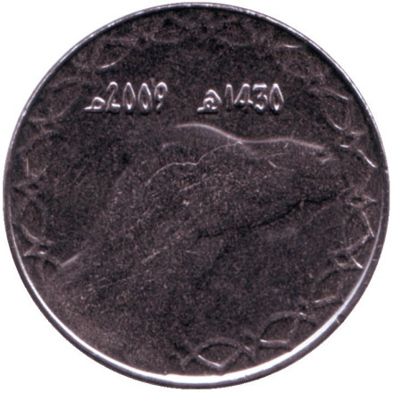 Монета 2 динара. 2009 год, Алжир. Одногорбый верблюд.