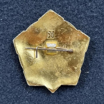 За выслугу лет в пожарной охране. 15 лет. Значок. СССР. За выслугу лет в пожарной охране. 15 лет. Значок. СССР.