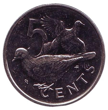 Монета 5 центов. 1975 год, Британские Виргинские острова. Горлицы.