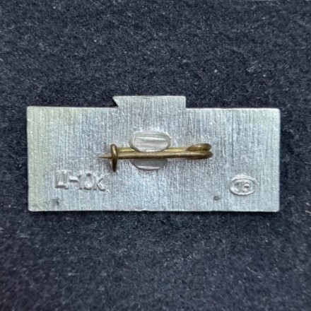 Смольный институт. Ленинград. Значок. СССР.