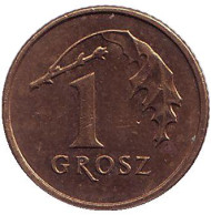 Монета 1 грош, 2008 год, Польша. Из обращения. Дубовый лист.