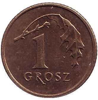 Монета 1 грош, 2008 год, Польша. Из обращения. Дубовый лист.