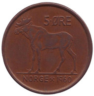Монета 5 эре. 1960 год, Норвегия. Лось. Монета 5 эре. 1960 год, Норвегия. Лось.