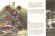 Аландские острова. Чернозобая гагара. Набор монет Финляндии (8 шт., с маркой). 2013 год, Финляндия.