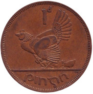Монета 1 пенни. 1962 год, Ирландия. Птица. Ирландская арфа. Монета 1 пенни. 1962 год, Ирландия. Птица. Ирландская арфа.