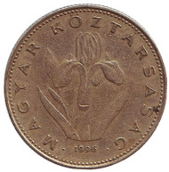 Монета 20 форинтов. 1996 год, Венгрия. Венгерский ирис. Монета 20 форинтов. 1996 год, Венгрия. Венгерский ирис.