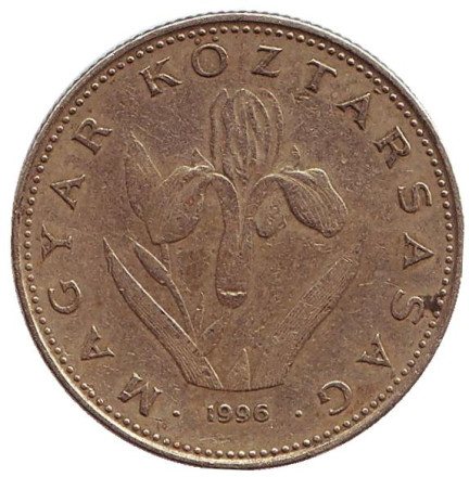 Монета 20 форинтов. 1996 год, Венгрия. Венгерский ирис.