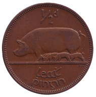 Монета 1/2 пенни. 1953 год, Ирландия. Свинья. Монета 1/2 пенни. 1953 год, Ирландия. Свинья.