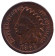 Монета 1 цент. 1895 год, США. Индеец. Монета 1 цент. 1895 год, США. Индеец.