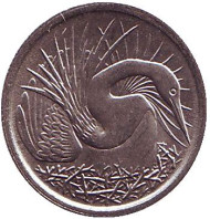 Монета 5 центов. 1974 год, Сингапур. Большая белая цапля. Монета 5 центов. 1974 год, Сингапур. Большая белая цапля.