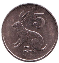 Монета 5 центов. 1991 год, Зимбабве. Кролик. Монета 5 центов. 1991 год, Зимбабве. Кролик.