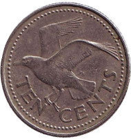 Монета 10 центов. 1989 год, Барбадос. Чайка. Монета 10 центов. 1989 год, Барбадос. Чайка.