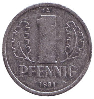Монета 1 пфенниг. 1981 год, ГДР. Монета 1 пфенниг. 1981 год, ГДР.