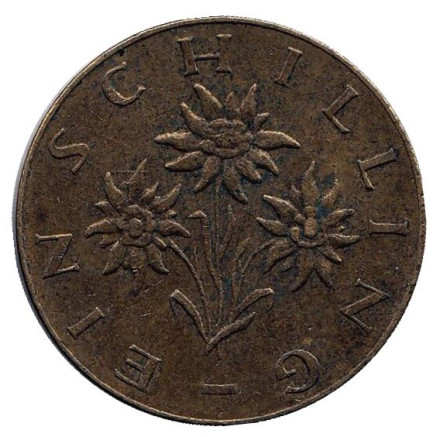 Монета 1 шиллинг. 1964 год, Австрия. Эдельвейс.
