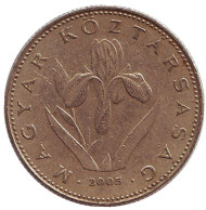 Монета 20 форинтов. 2005 год, Венгрия. Венгерский ирис.