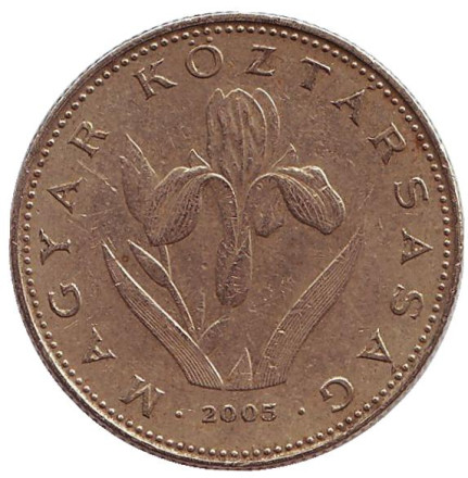 Монета 20 форинтов. 2005 год, Венгрия. Венгерский ирис.