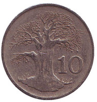 Монета 10 центов. 1989 год, Зимбабве. Баобаб. Монета 10 центов. 1989 год, Зимбабве. Баобаб.